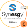 Synesgy ESG Score